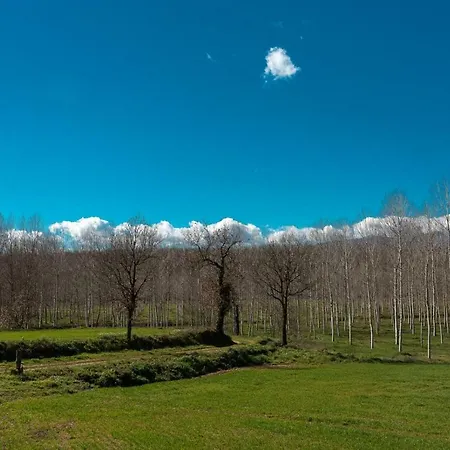 Can Macaneti